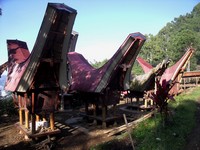 Trek in Tana Toraja